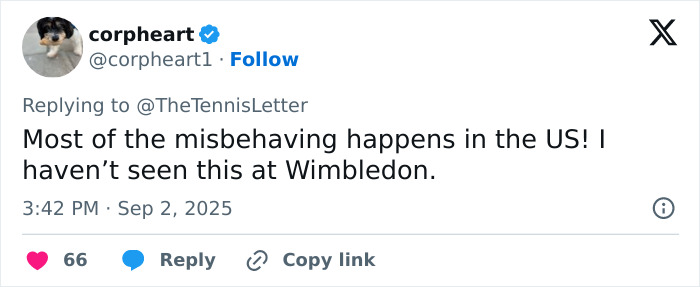 Tennis Fan Tries To Steal From Jannik Sinner's Bag In Viral US Open Moment, Player Responds