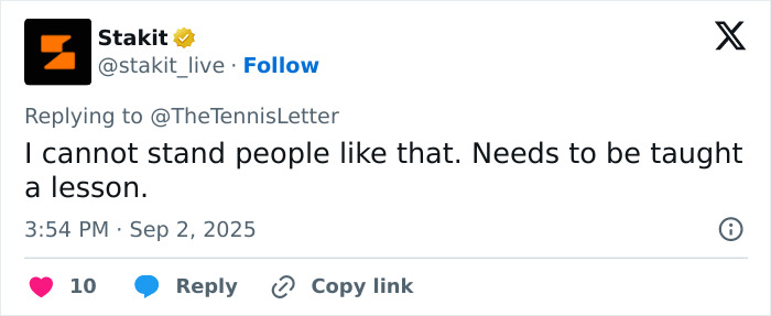 Tennis Fan Tries To Steal From Jannik Sinner's Bag In Viral US Open Moment, Player Responds