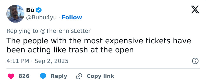 Tennis Fan Tries To Steal From Jannik Sinner's Bag In Viral US Open Moment, Player Responds