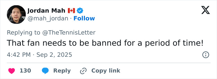 Tennis Fan Tries To Steal From Jannik Sinner's Bag In Viral US Open Moment, Player Responds