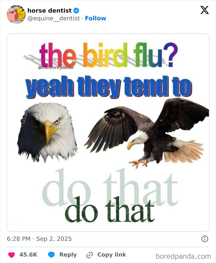 Funny tweet featuring colorful text about bird flu with images of two bald eagles, part of funniest tweets of September.