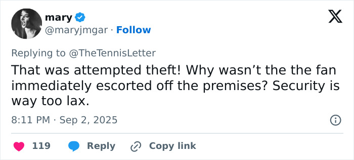 Tennis Fan Tries To Steal From Jannik Sinner's Bag In Viral US Open Moment, Player Responds