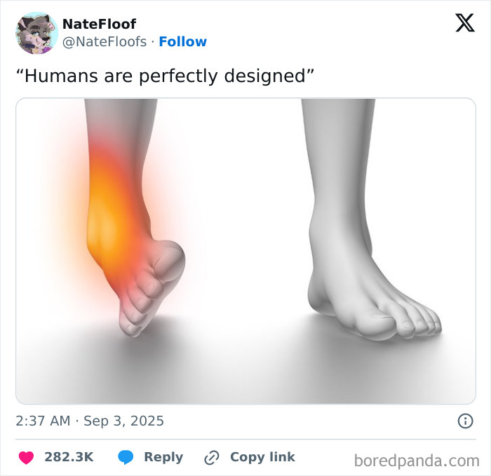 Tweet showing a humor post about human design with an image of a painful twisted ankle, featured in funniest tweets of September.