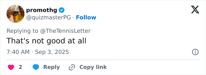 Tennis Fan Tries To Steal From Jannik Sinner's Bag In Viral US Open Moment, Player Responds