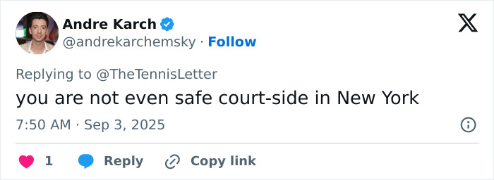 Tennis Fan Tries To Steal From Jannik Sinner's Bag In Viral US Open Moment, Player Responds