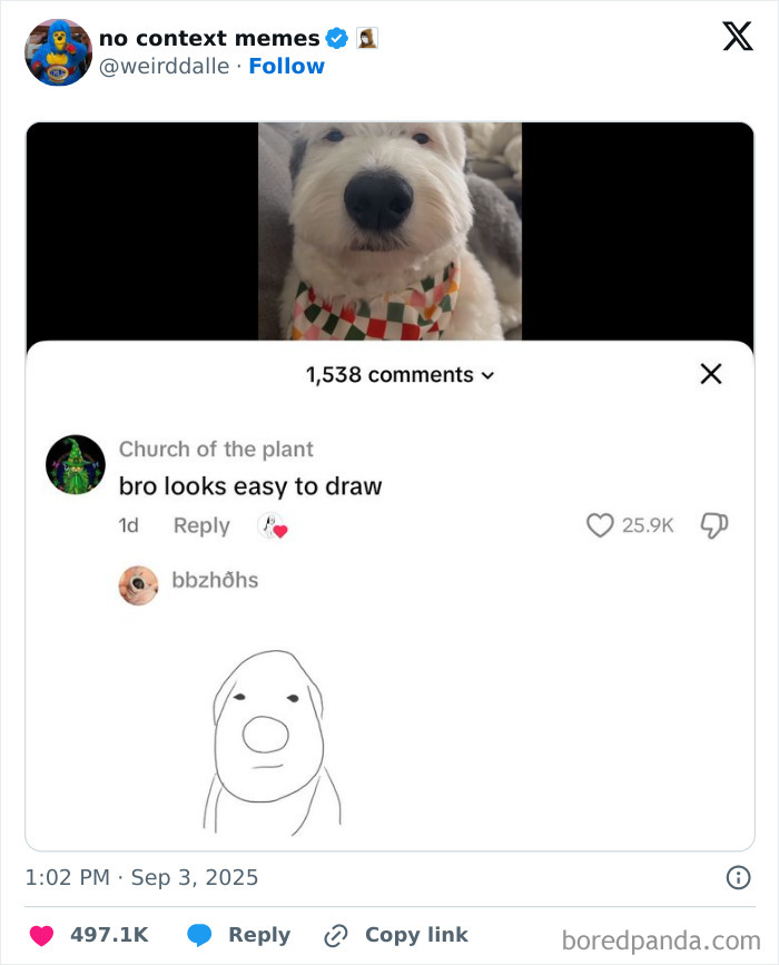 Screenshot of a social media post showing a dog photo with a comment and a simple drawing, highlighting funny comments.