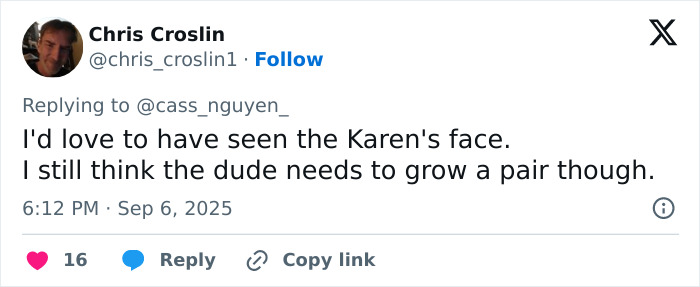 Screenshot of a social media comment reacting to Karen snatching a home run ball from a boy, discussing the incident.