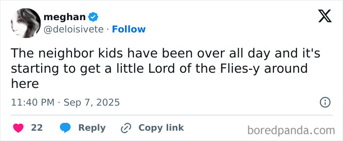 Tweet by Meghan humorously describing neighbor kids causing chaos, related to parenting posts that might make you chuckle.