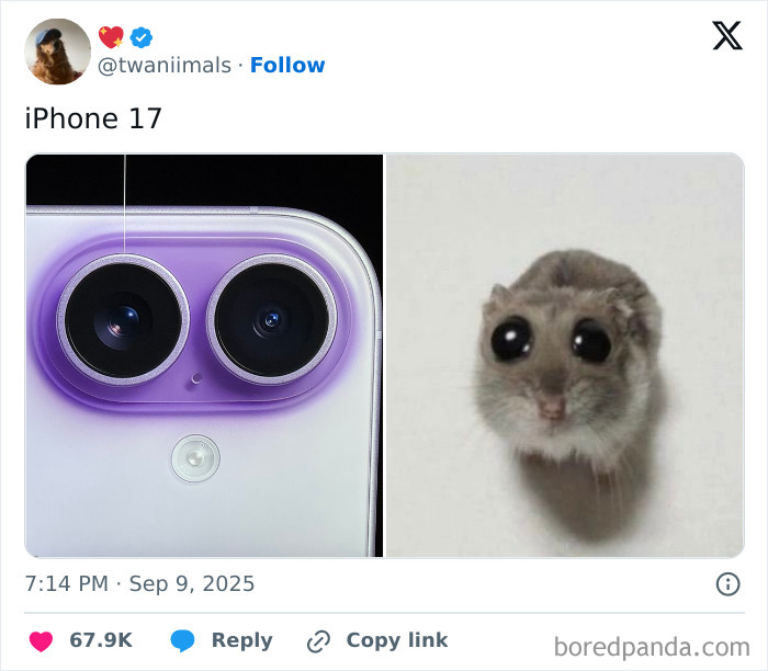 Close-up of iPhone camera lenses compared to a hamster with enlarged eyes, showcasing humorous iStove design memes.