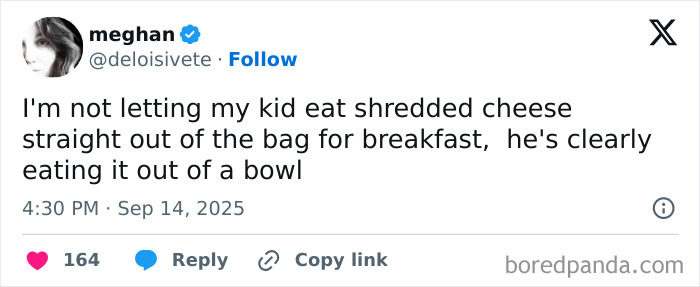 Tweet from user meghan humorously discussing parenting, shredded cheese breakfast, reflecting funny parenting posts.