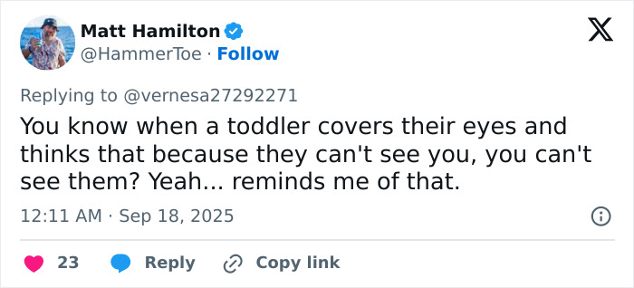Tweet by Matt Hamilton mocking First Lady Melania's outfit at UK event, comparing it to a toddler covering eyes humorously. Tweet by Matt Hamilton mocking First Lady Melania's outfit at UK event, comparing it to a toddler covering eyes humorously.