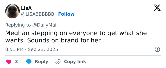 Screenshot of a social media comment criticizing Meghan Markle, related to reality TV star calling her unappreciative.