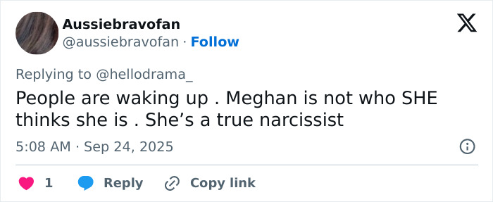 Screenshot of a social media comment criticizing Meghan Markle, highlighting reality TV star lashing out and unappreciative claims.