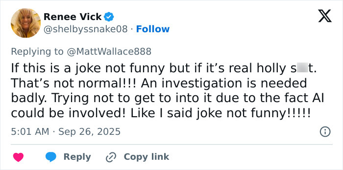 Tweet from Renee Vick reacting to Elon Musk conspiracy theories after unusual move at Charlie Kirk funeral.