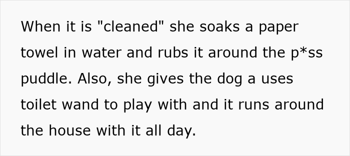 Text showing advice on cleaning a dog&rsquo;s mess, relating to anaphylactic shock caused by MIL&rsquo;s actions.