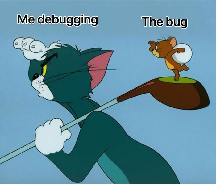 Tom and Jerry cartoon showing Tom as a programmer debugging, while Jerry represents the elusive bug in a funny meme.