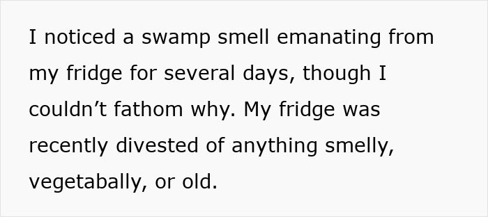 Alt text: Woman rescuing a frog from her fridge, capturing a viral moment of kindness spreading across the internet. Alt text: Woman rescuing a frog from her fridge, capturing a viral moment of kindness spreading across the internet.