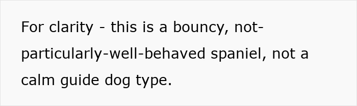 Alt text: Clarification about a bouncy spaniel mistaken for a calm therapy dog causing issues at family events. Alt text: Clarification about a bouncy spaniel mistaken for a calm therapy dog causing issues at family events.