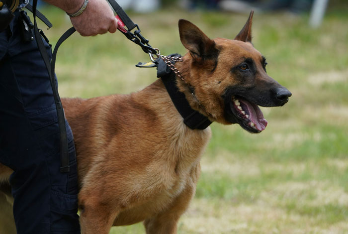 49 Police Officers Share The Most Horrifying Things They’ve Witnessed On Duty (Trigger Warning)