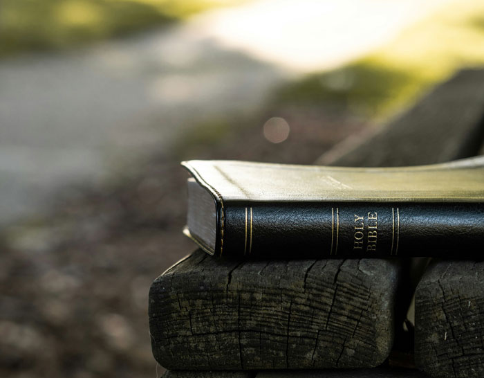 Black leather Holy Bible resting on a weathered wooden bench in natural outdoor lighting, symbolizing common sense.