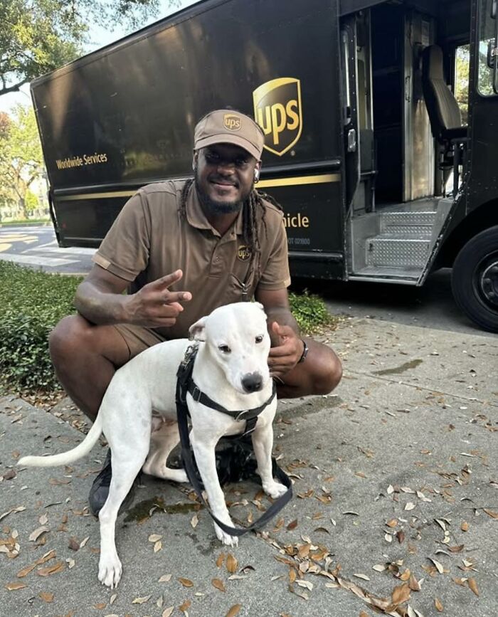 UPS driver crouching next to an adorable white dog on a sidewalk with a UPS delivery truck in the background.