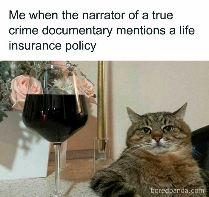 Cat sitting with a sarcastic expression next to a glass of red wine, relating to true crime binge-watching humor.