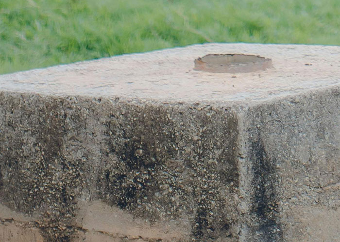 Close-up of a hidden gem discovered outside a new home, showing a weathered concrete block with moss and wear.