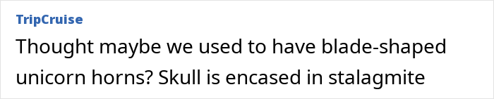 Petralona Man skull encased in stalagmite inside a cave, sparking new expert study and mystery after 60 years.