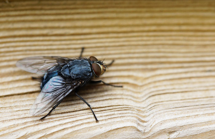 49 Police Officers Share The Most Horrifying Things They’ve Witnessed On Duty (Trigger Warning)