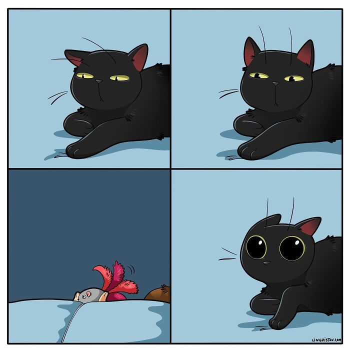 Black cat in a fun comic strip, showing expressions cat owners might relate to in playful illustrated scenes.