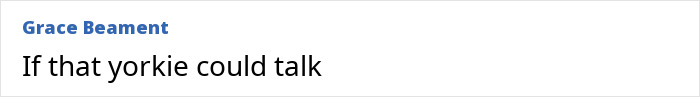 Text reading "If that yorkie could talk" by Grace Beament, referencing Britney Spears’ inner circle concerns and darker behavior incidents. Text reading "If that yorkie could talk" by Grace Beament, referencing Britney Spears’ inner circle concerns and darker behavior incidents.
