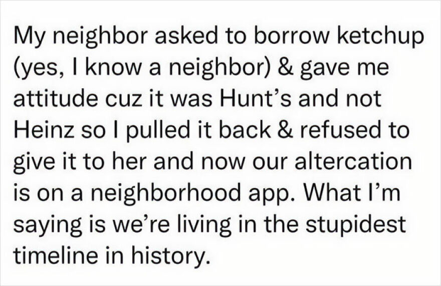 Text post about a neighbor dispute over borrowing ketchup, highlighting frustration with current neighbor interactions.