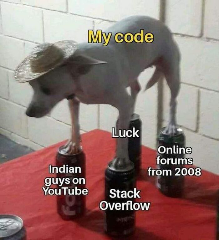 Small white dog wearing a straw hat balancing on soda cans labeled as luck, Stack Overflow, and forums in funny programmer meme.