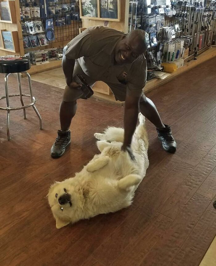 UPS driver smiling while petting an adorable fluffy dog lying on the wooden floor inside a shop.