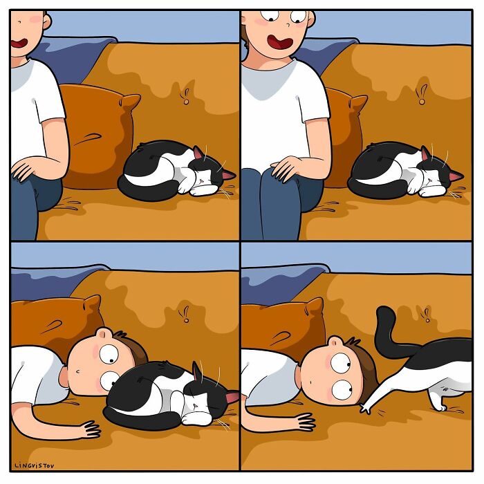 Comic strip showing a cat owner trying to interact with his sleeping cat on a couch, relatable to cat owners.