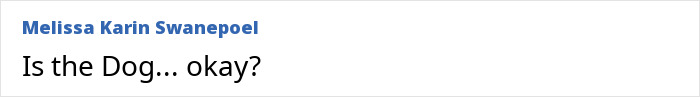 Text snippet saying Is the Dog... okay? by Melissa Karin Swanepoel, hinting at concerns over Britney Spears’ inner circle behavior after dog poop incident. Text snippet saying Is the Dog... okay? by Melissa Karin Swanepoel, hinting at concerns over Britney Spears’ inner circle behavior after dog poop incident.