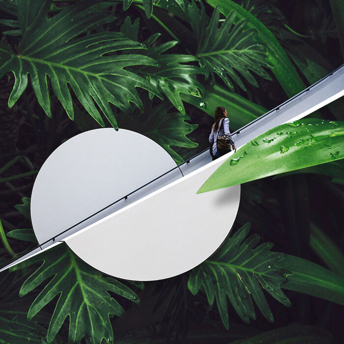 40 Nature Inspired Collages Tha Will Make Your Brain Hurt