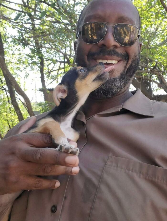 UPS driver smiling while holding and being licked by an adorable small puppy outdoors with trees in the background