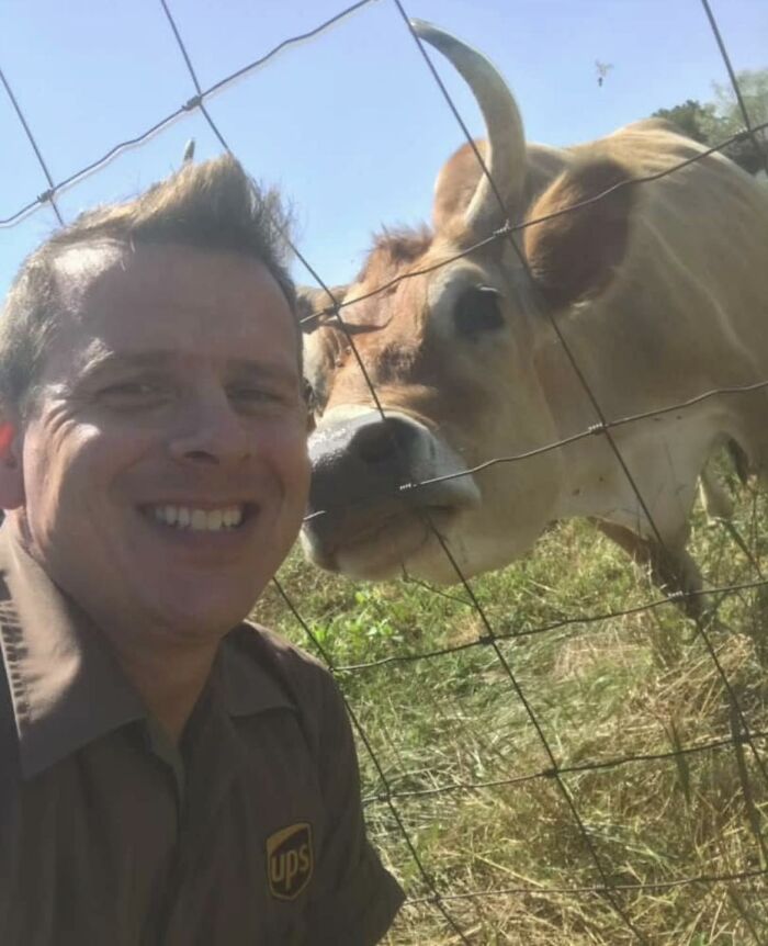 UPS driver smiling next to a cow behind a fence during a sunny delivery stop, showcasing adorable pets moments.