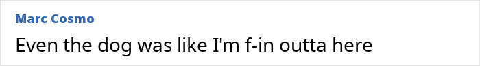 Text comment by Marc Cosmo stating a humorous reaction involving a dog, relating to Britney Spears’ inner circle concerns. Text comment by Marc Cosmo stating a humorous reaction involving a dog, relating to Britney Spears’ inner circle concerns.