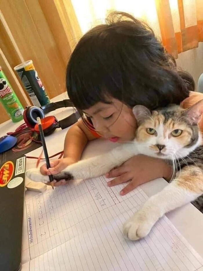 Child doing homework with a cat hugging their arm, a wholesome moment to distract from current world horrors.