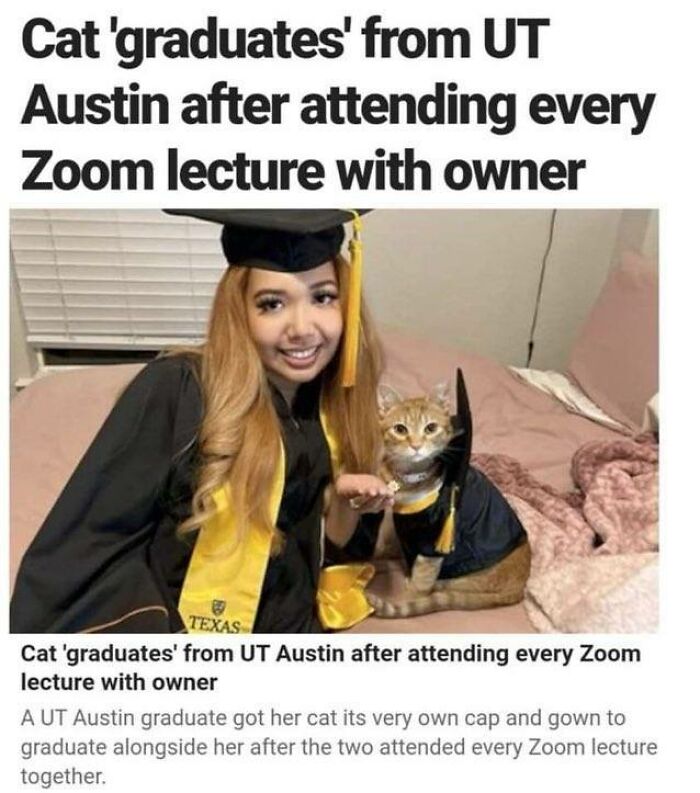 Cat in graduation cap and gown celebrating with owner, one of the most adorable cats featured for top-tier work.
