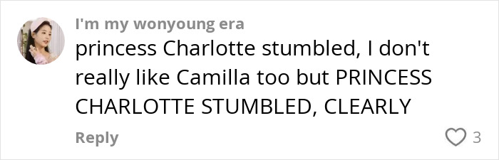 Comment mentioning Princess Charlotte&rsquo;s curtsy mistake and opinions on Camilla&rsquo;s gesture toward Kate on social media.