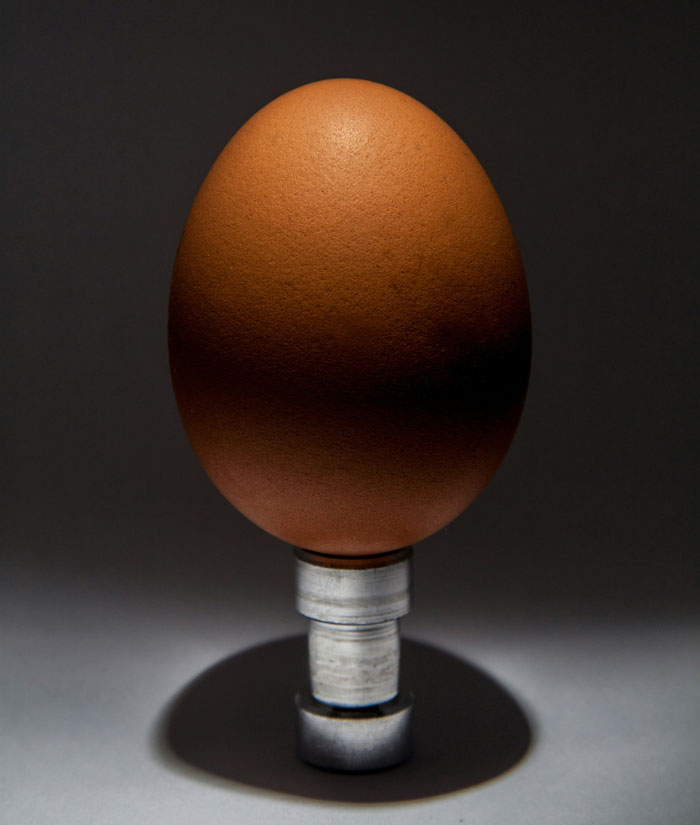 47 Loopholes So Good, People Just Couldn’t Miss The Opportunity