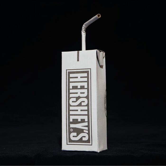Hershey's carton crafted from recycled materials, showcasing an artist turning waste into witty commentary on modern life.