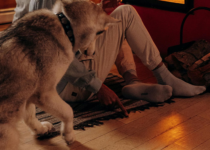 Person sitting on the floor near a fireplace pointing at the floor with a dog nearby, a hidden gem discovered in a new home.