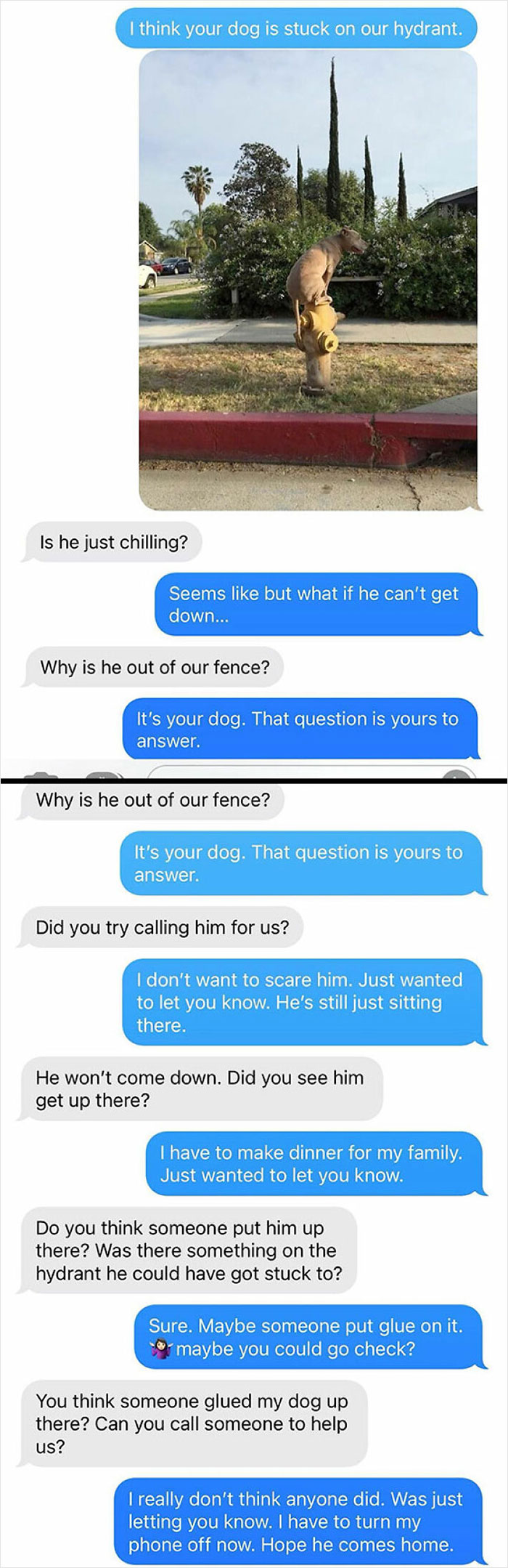 Text conversation about a dog stuck on a hydrant, illustrating unbearable neighbor interactions with humorous confusion.