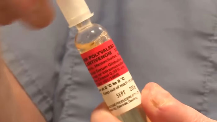 Close-up of paramedic holding snakebite antidote vial, highlighting risks faced when saving snakebite victims with treatment. Close-up of paramedic holding snakebite antidote vial, highlighting risks faced when saving snakebite victims with treatment.