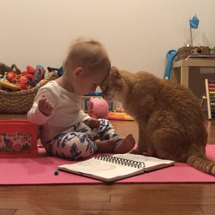 Toddler and orange cat sharing a tender moment with a sketchbook nearby in a cozy, toy-filled room, wholesome posts.