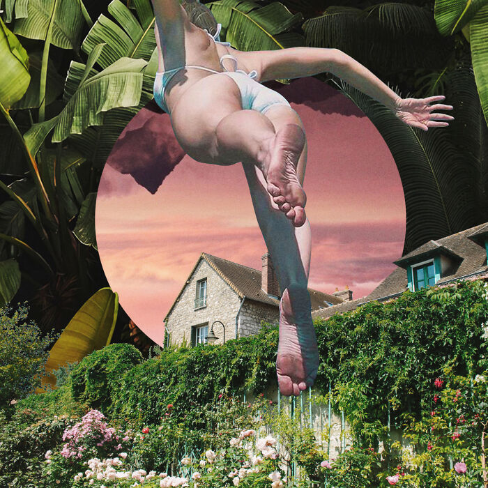 40 Nature Inspired Collages Tha Will Make Your Brain Hurt